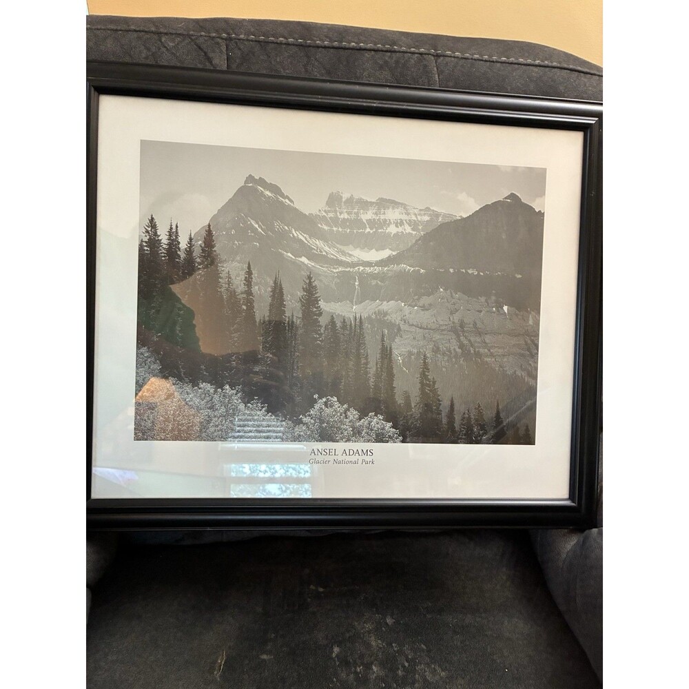 Ansel Adams Glacier National Park Framed Print Trees Bushes Mountains 1941
